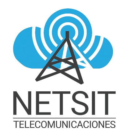 NETSIT Logo